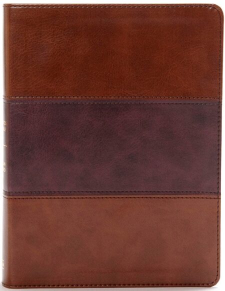 CSB Apologetics Study Bible, Mahogany LeatherTouch - Case of 12