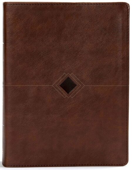 CSB Day-by-Day Chronological Bible---soft leather-look, brown - Case of 12