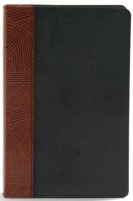 CSB Rainbow Study Bible, Black and Tan LeatherTouch - Case of 12