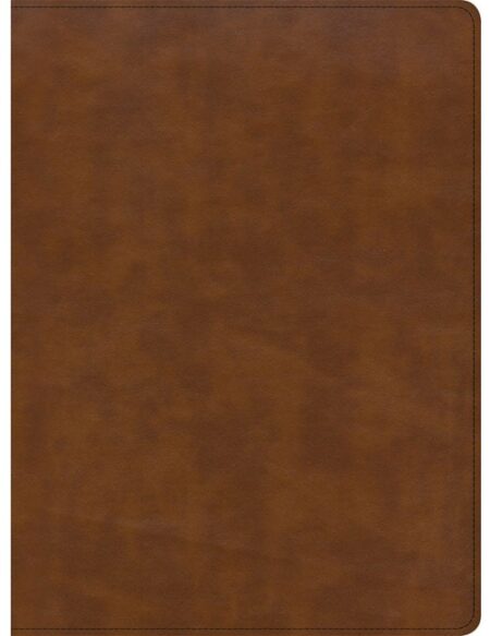 CSB Holy Land Illustrated Bible---soft leather-look, British tan (indexed) - Case of 8