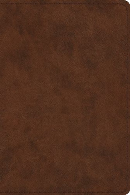 ESV Study Bible, Personal Size, TruTone Imitation Leather, Brown - Case of 12