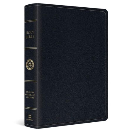 ESV Large Print Wide Margin Bible (Genuine Leather, Black) - Bulk Case of 10