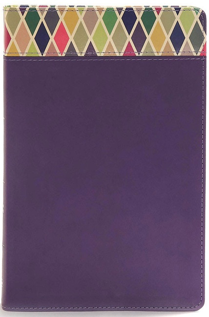 CSB Rainbow Study Bible, Purple LeatherTouch - Case of 12