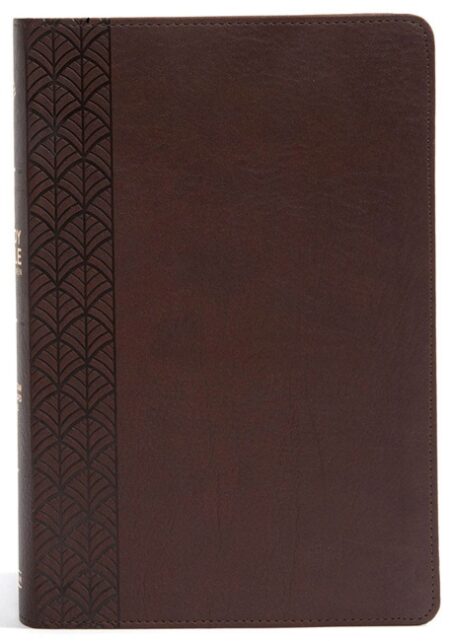 The CSB Study Bible for Women, Chocolate LeatherTouch - Case of 12