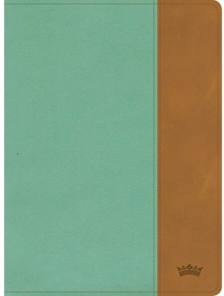 CSB Tony Evans Study Bible---soft leather-look, teal/earth (indexed) - Case of 12