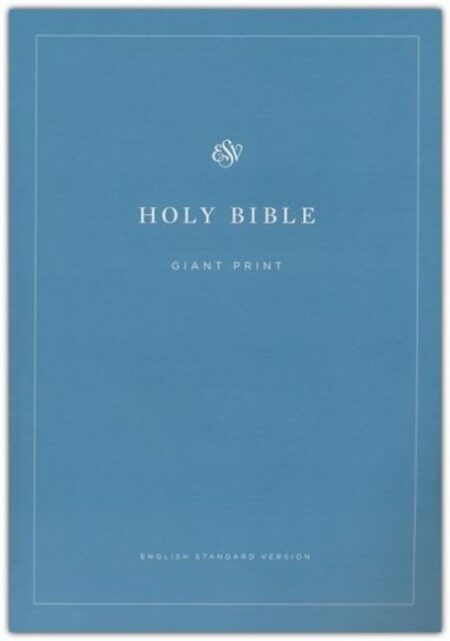 ESV Economy Bible, Giant Print---softcover - Case of 12