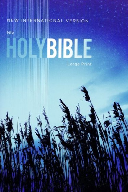 NIV Large-Print Outreach Bible---softcover, blue wheat - Case of 16