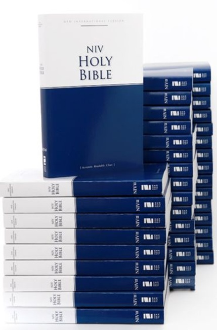 NIV Economy Bible, Tradepaper - Case of 40