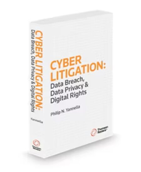 Cyber Litigation, 2025 ed.