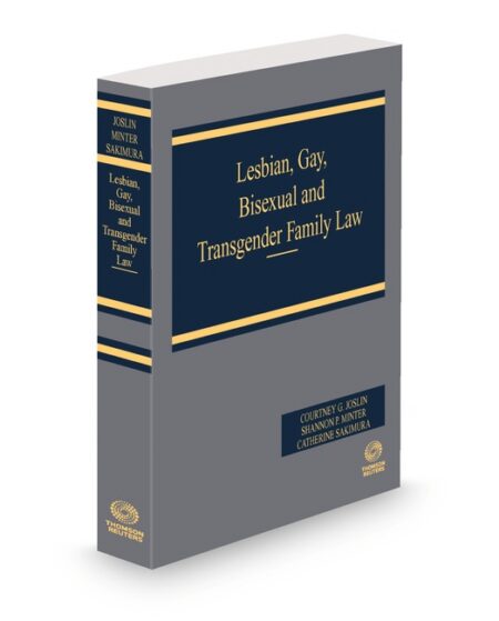 Lesbian Gay Bisexual and Transgender Family Law 2025 2026 ed by Catherine Sakimura J D Courtney G Joslin JD Shannon P Minter J D
