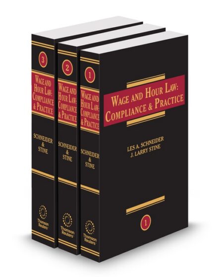 Wage and Hour Law: Compliance and Practice 2025 2 ed by