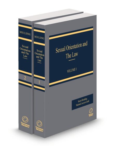 Sexual Orientation and The Law 2025 2026 ed by