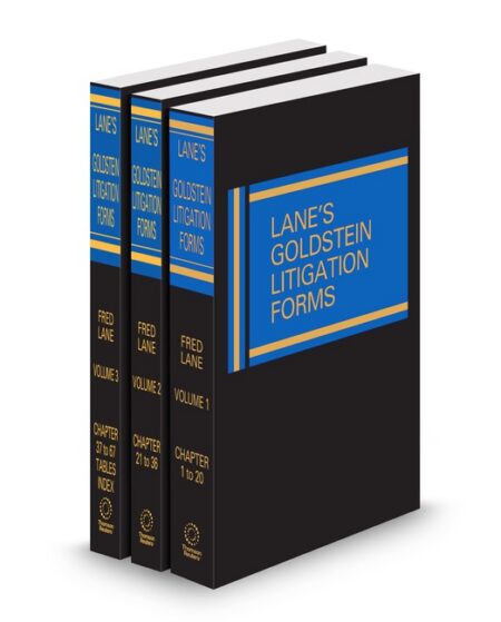 Litigation (Lane Goldstein) by Fred Lane