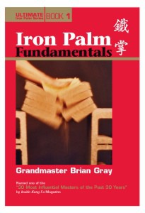 Book 1: Iron Palm Fundamentals by Grandmaster Brian Gray